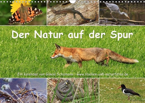 Der Natur auf der Spur