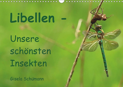 Libellen - Unsere schönsten Libellen