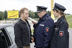 Mörderisches Wespennest
