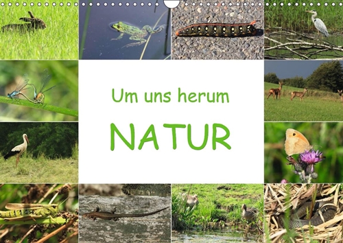 Um uns herum - Natur